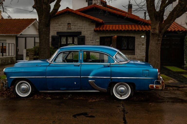 Cómo Consultar Infracciones de Tránsito en Mar del Plata por Dominio