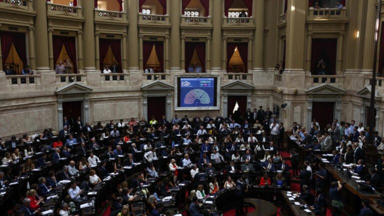congreso argentino debate aprobacion de ley