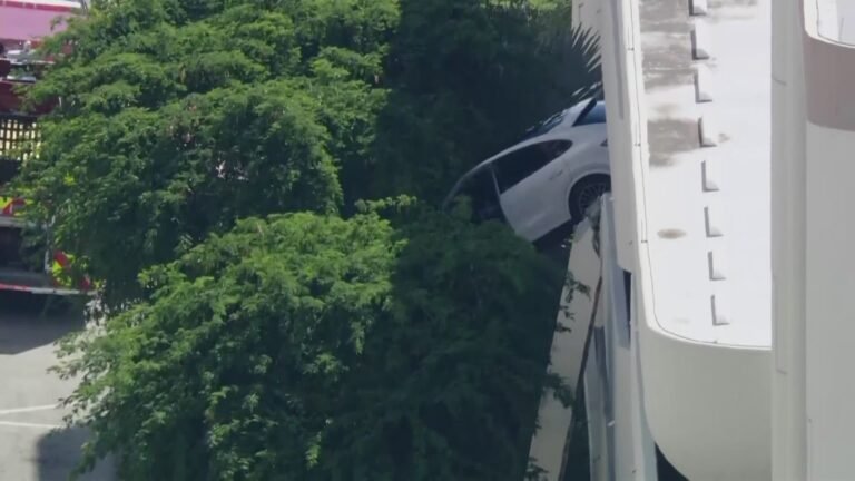 Cómo llamar a una grúa por mal estacionamiento en CABA