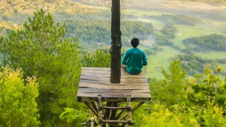 Son Los Hombres Mejor Que Las Flores Según La Ciencia Y La Cultura