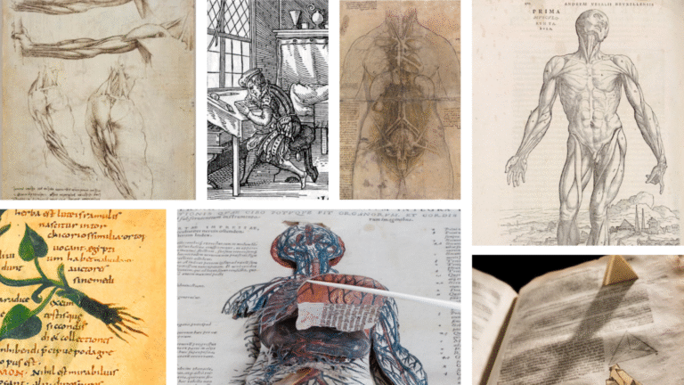 Qué Temas Aborda Bill Bryson en Una Breve Historia de Casi Todo 5 ilustracion de libros y naturaleza cientifica