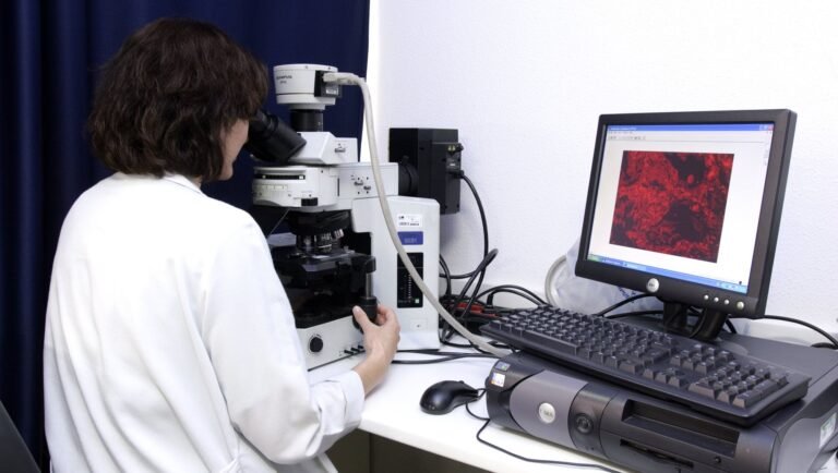 Cuáles Son Los Requisitos Para Estudiar Maestría En Biología Celular Y Molecular 30 laboratorio de biologia celular con microscopio