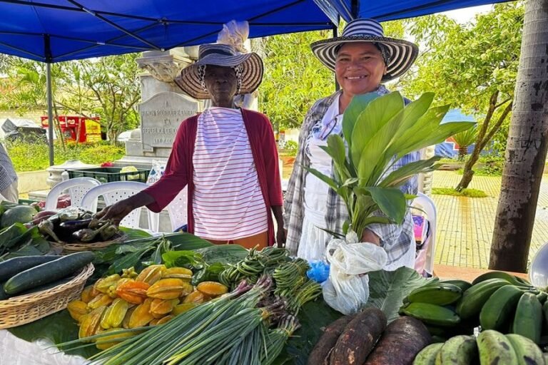 mercado rural con herramientas agricolas variadas