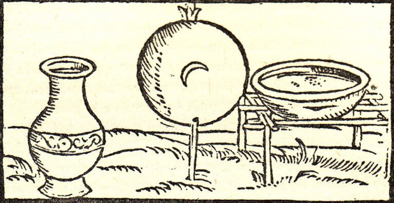 palabras guaranies y objetos culturales tradicionales