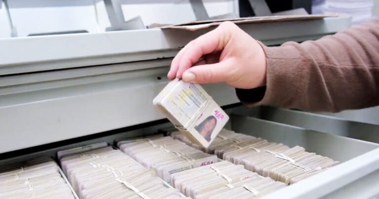 persona buscando documento perdido en parque