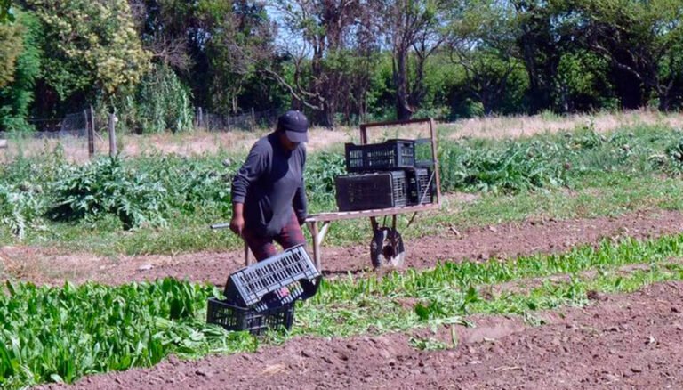 persona buscando empleo en neuquen rural