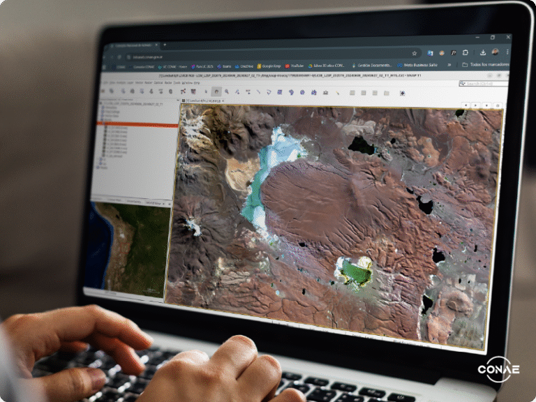Cómo buscar a una persona por su nombre en Argentina fácilmente 8 persona buscando en laptop mapa argentina