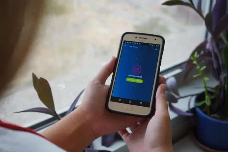 Cómo Sacar Turno para la VTV en CABA de Forma Fácil y Rápida 7 persona usando celular para sacar turno online