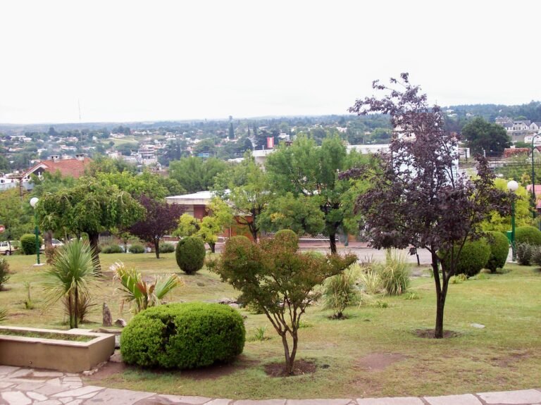 Cuándo y dónde se realizan las elecciones en La Falda, Córdoba 3 Cuándo y dónde se realizan las elecciones en La Falda, Córdoba