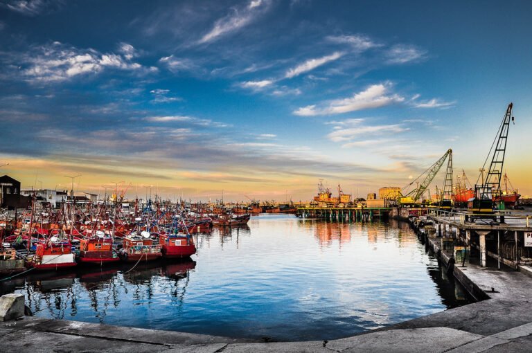 Dónde Encontrar Desagotes La Tati en Mar del Plata 8 Dónde Encontrar Desagotes La Tati en Mar del Plata