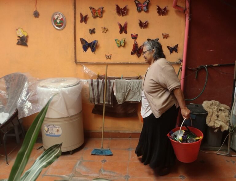 Cuáles Son Las Vacaciones Correspondientes Para Servicio Doméstico Por Horas 15 trabajador domestico realizando tareas en hogar