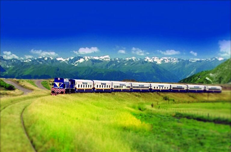 tren turistico recorriendo paisaje natural patagonico