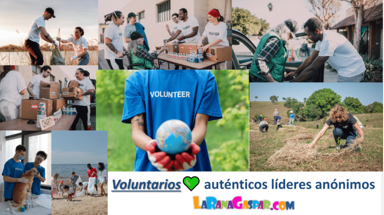 Cuáles Son Ejemplos De Proyectos Sociales Ya Elaborados Y Exitosos